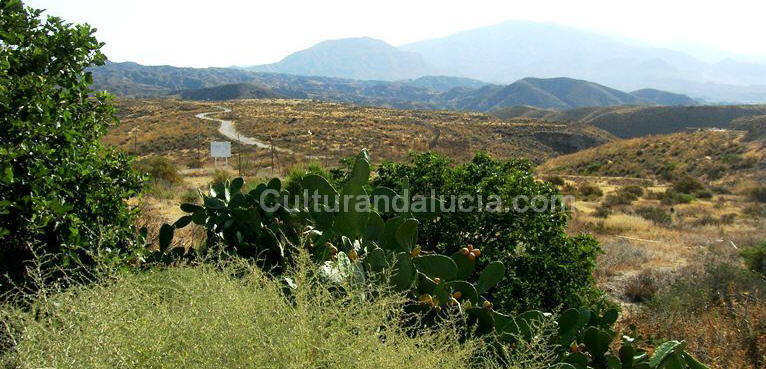 Topografa y vegetacin en los alrededores del yacimiento.