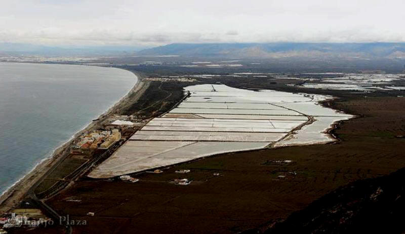 Las salinas se extienden entre el mar Mediterrneo y las estribaciones de la Sierra de Gata Foto: Juanjo Plaza.