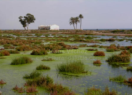 Las salinas de Roquetas se integraban en la red salinera de Cabo de Gata - Almera