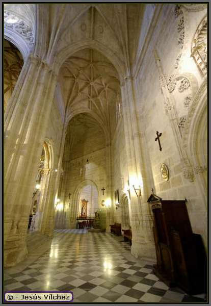 rgano y bvedas de crucera en la nave lateral de la Puerta de los Perdones.